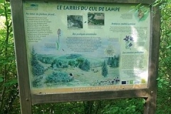 csm_IMAG0775_a0320955f0
